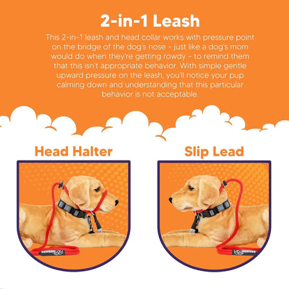 Red No-Pull Dog Leash  Easy Control
