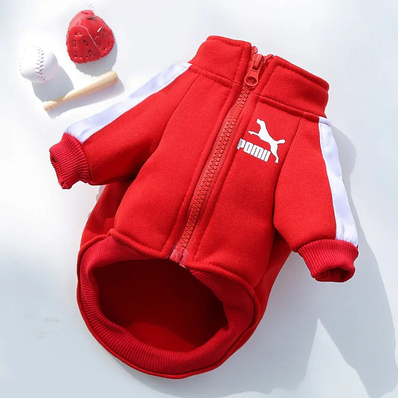 Trendy Brand Pet Clothes for Autumn and Winter