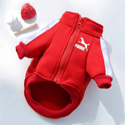 Trendy Brand Pet Clothes for Autumn and Winter