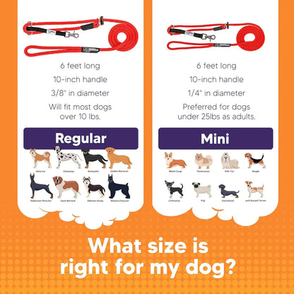 Red No-Pull Dog Leash  Easy Control