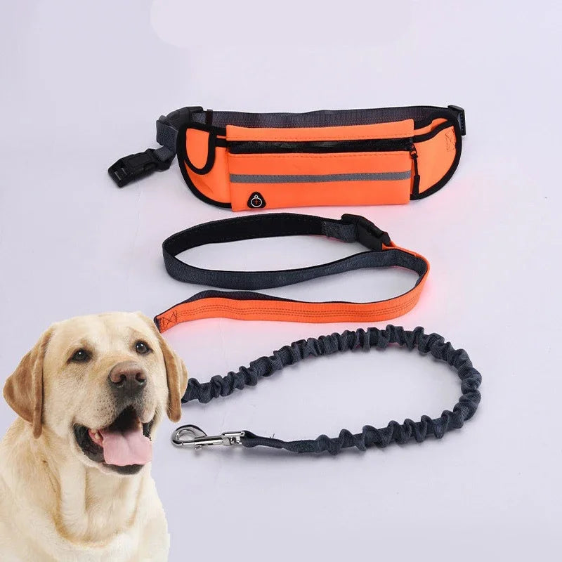Hands Free  Reflective Dog Leash  Waist Bag