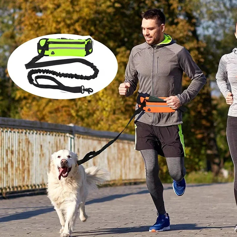 Hands Free  Reflective Dog Leash  Waist Bag