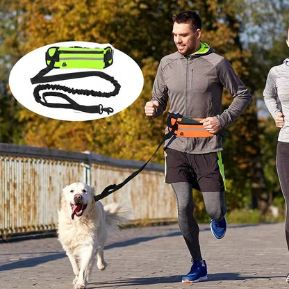 Hands Free  Reflective Dog Leash  Waist Bag