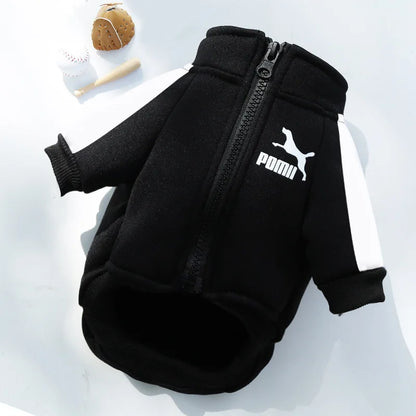 Trendy Brand Pet Clothes for Autumn and Winter