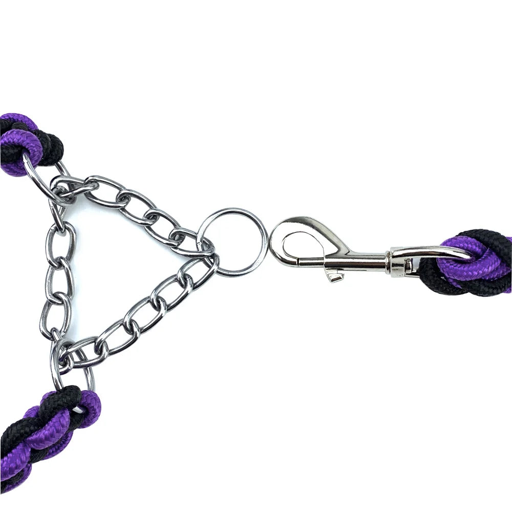 Nylon Braided Dog Collar And Leash Set