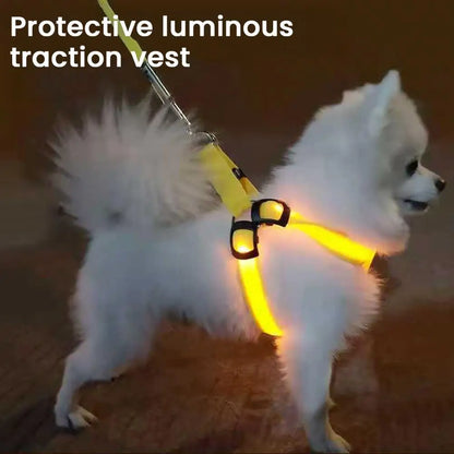 Adjustable LED Pet Harness USB Rechargeable Light