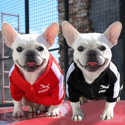 Trendy Brand Pet Clothes for Autumn and Winter