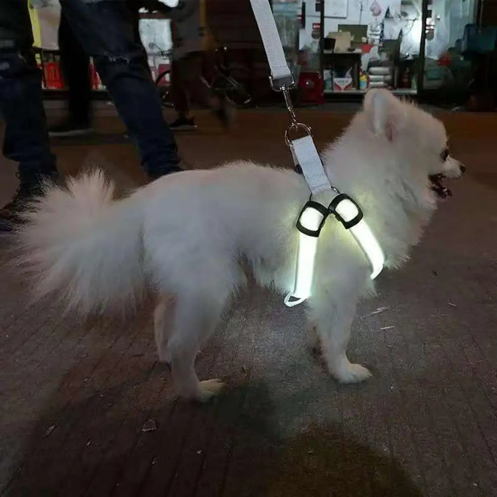 Adjustable LED Pet Harness USB Rechargeable Light