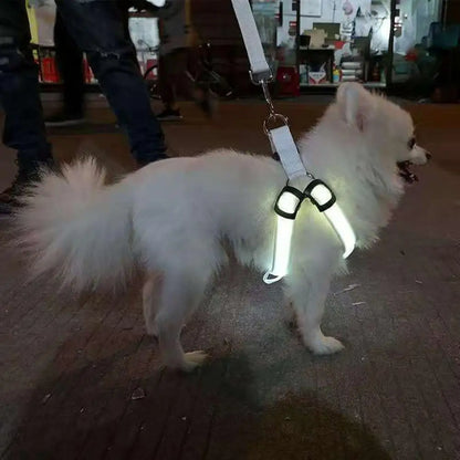 Adjustable LED Pet Harness USB Rechargeable Light