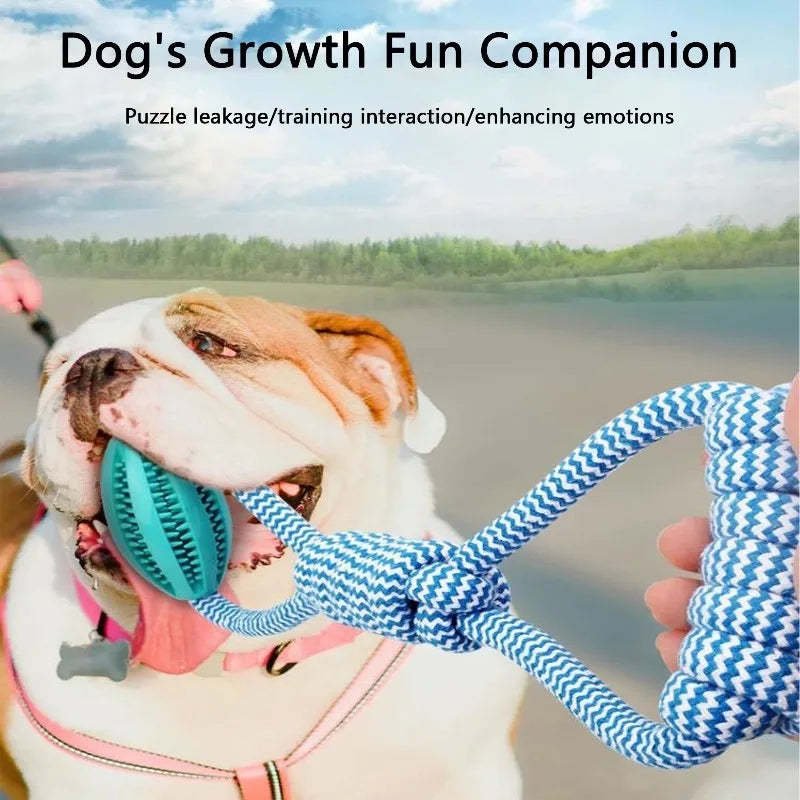 Chew Resistant Rope Toy with Food Dispensing
