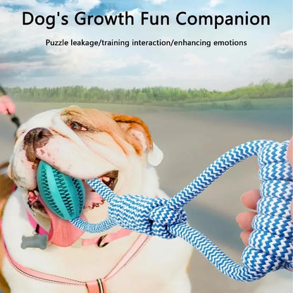 Chew Resistant Rope Toy with Food Dispensing