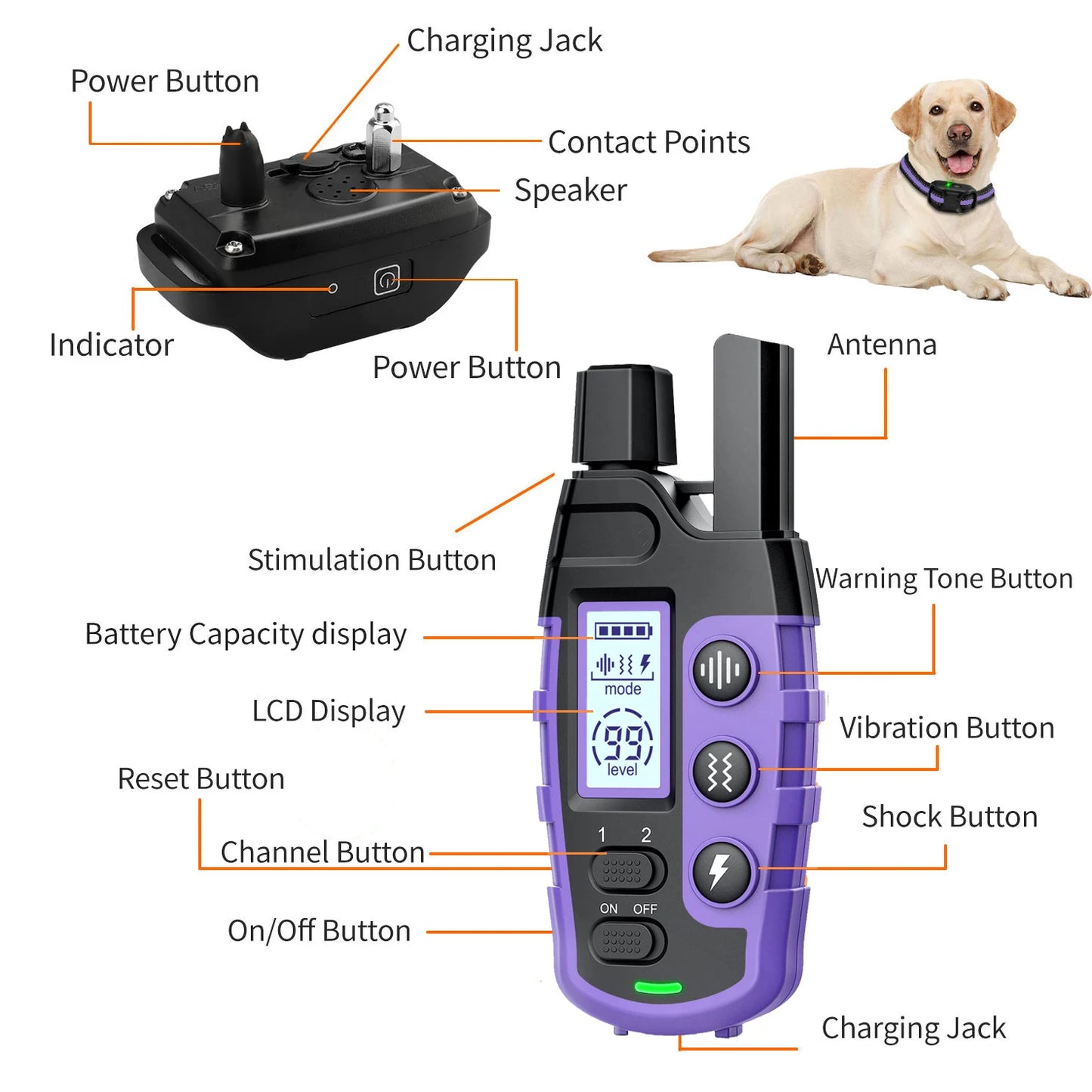 3300Ft Remote Control Electric Dog Training Collar