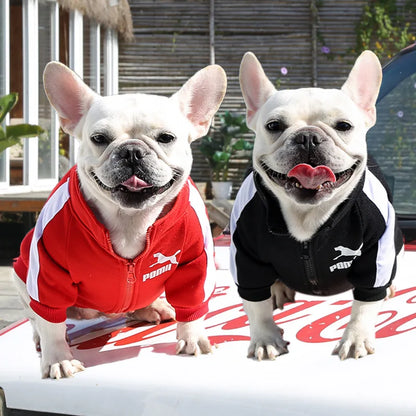 Trendy Brand Pet Clothes for Autumn and Winter