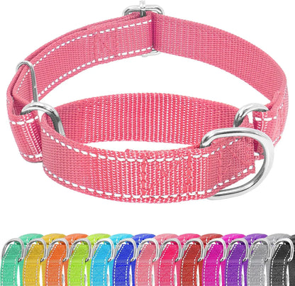 Adjustable No-Buckle Martingale Slip Training Collar