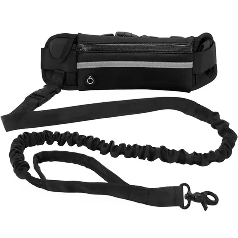 Hands Free  Reflective Dog Leash  Waist Bag