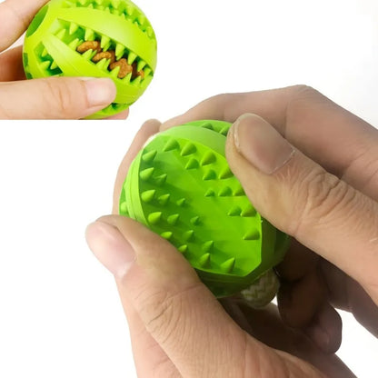 Chew Resistant Rope Toy with Food Dispensing