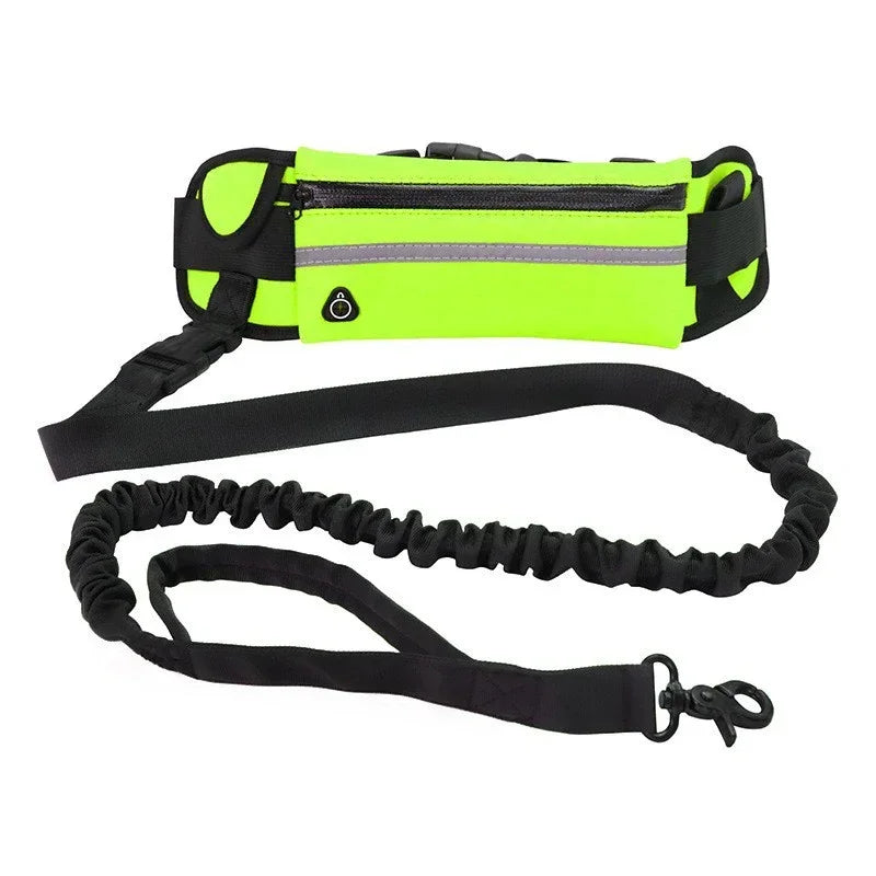 Hands Free  Reflective Dog Leash  Waist Bag