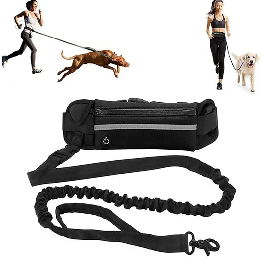 Hands Free  Reflective Dog Leash  Waist Bag