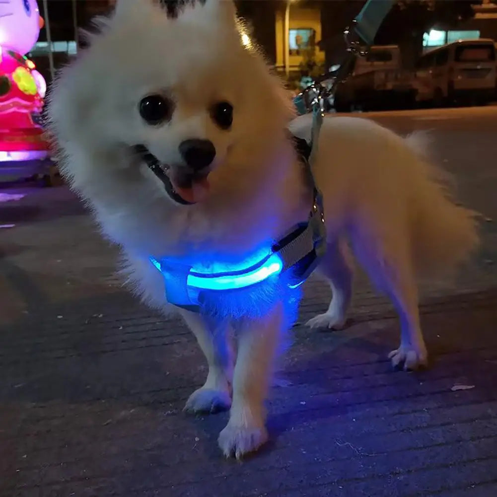 Adjustable LED Pet Harness USB Rechargeable Light