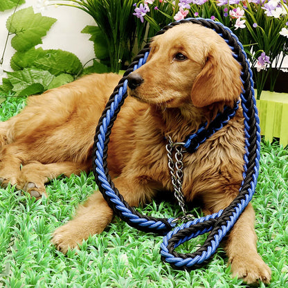 Nylon Braided Dog Collar And Leash Set