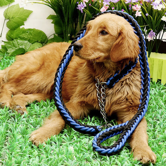 Nylon Braided Dog Collar And Leash Set