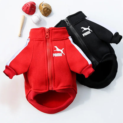 Trendy Brand Pet Clothes for Autumn and Winter